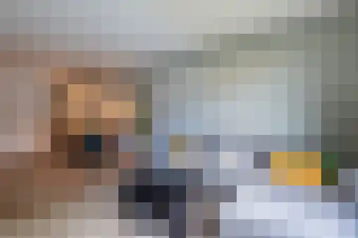 Kroonnweide 37 Rijssen thumbnail 14