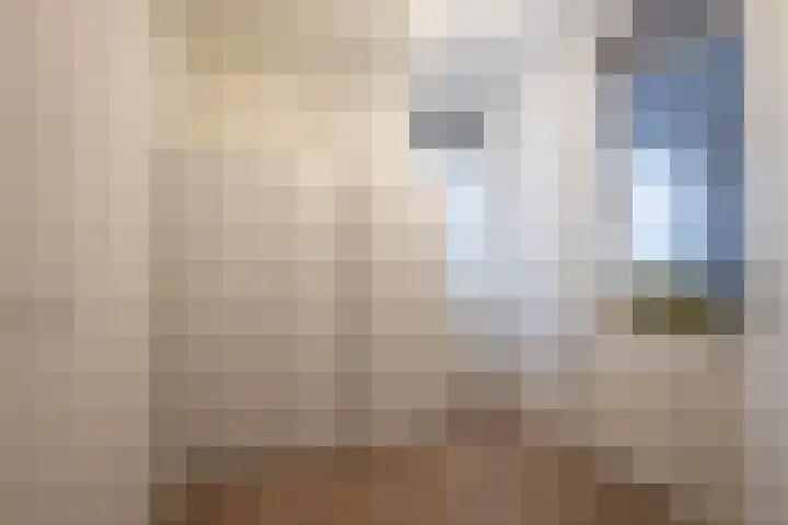 Kroonnweide 37 Rijssen thumbnail 33