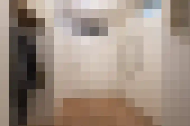 Kroonnweide 37 Rijssen thumbnail 35