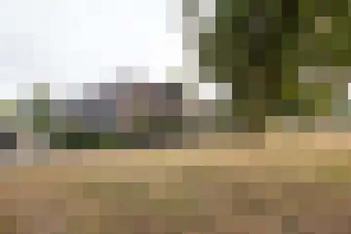 Kroonnweide 37 Rijssen thumbnail 37