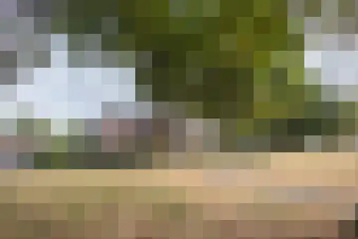 Kroonnweide 37 Rijssen thumbnail 38