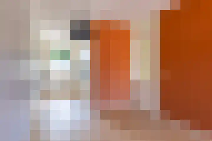 Kroonnweide 59 Rijssen thumbnail 11