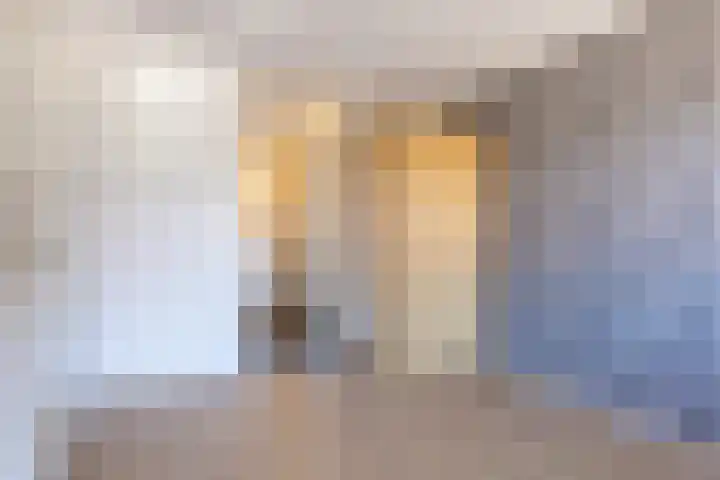 Kroonnweide 59 Rijssen thumbnail 17