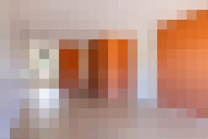 Kroonnweide 59 Rijssen thumbnail 9