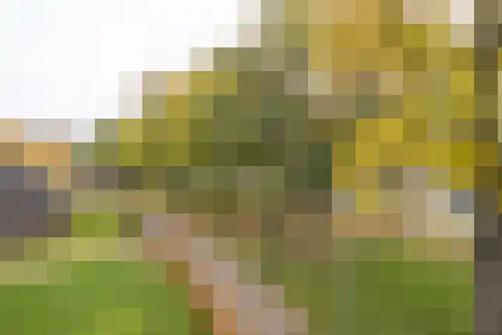 Kroonnweide 63 Rijssen thumbnail 24