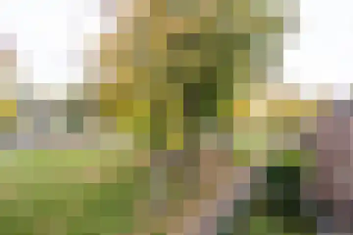 Kroonnweide 63 Rijssen thumbnail 26