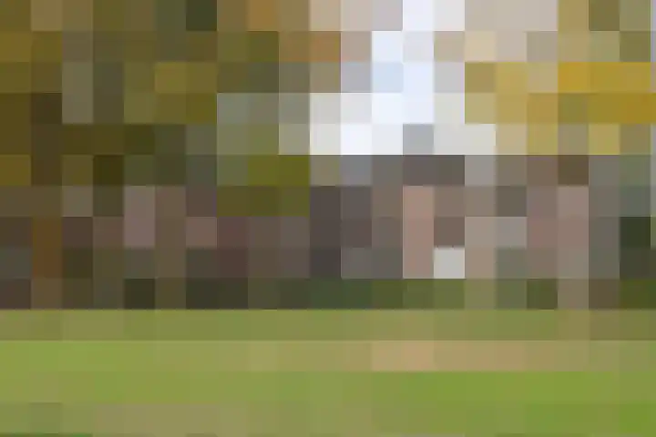 Kroonnweide 63 Rijssen thumbnail 5