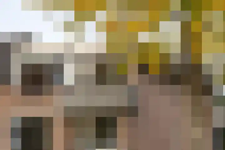 Kroonnweide 63 Rijssen thumbnail 7
