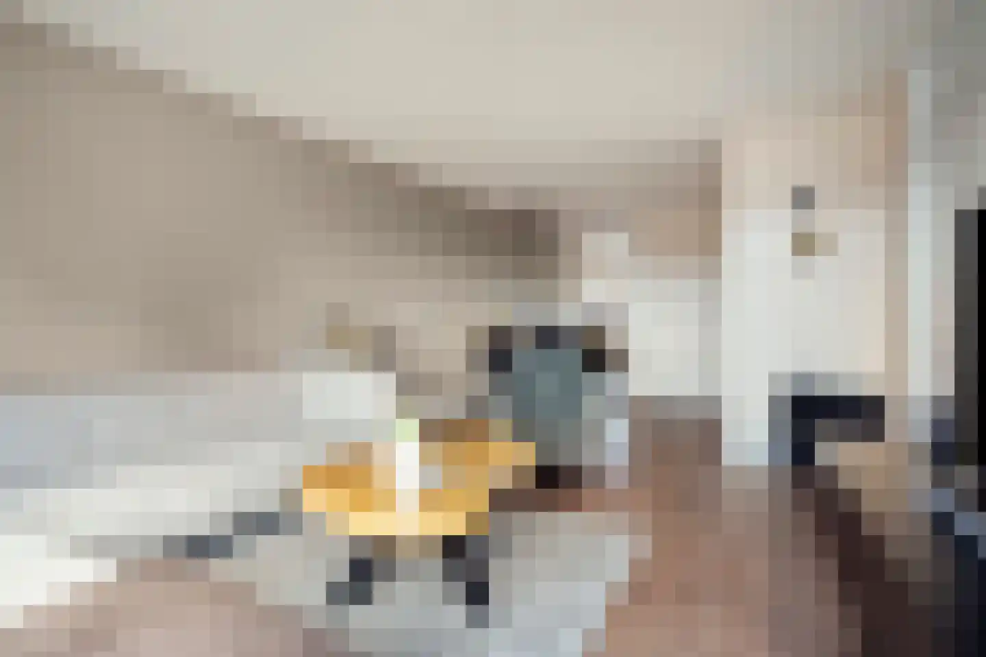 Kroonnweide 75 Rijssen thumbnail 11