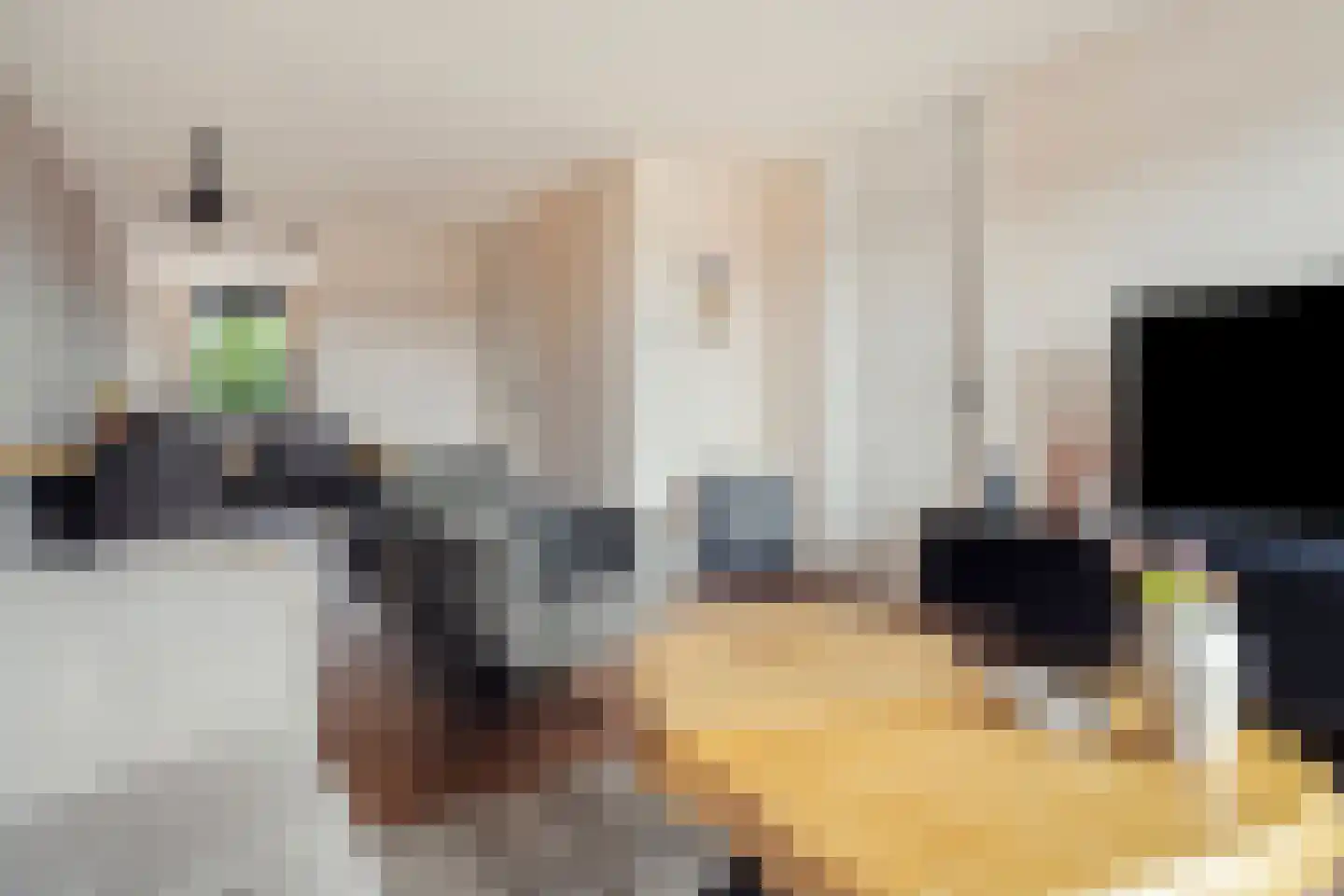 Kroonnweide 75 Rijssen thumbnail 12