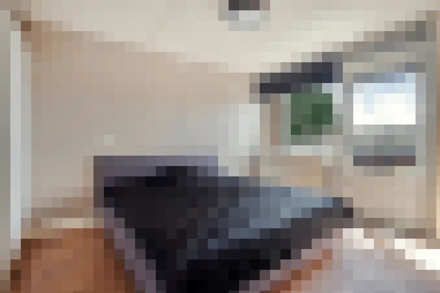 Kroonnweide 75 Rijssen thumbnail 22