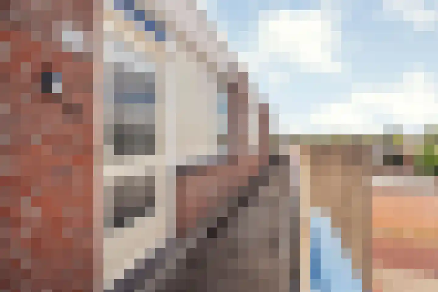 Kroonnweide 75 Rijssen thumbnail 7