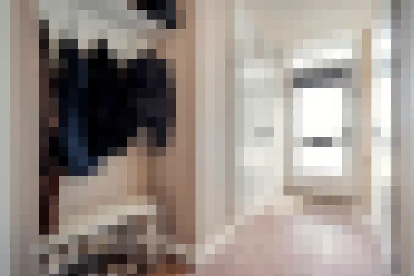 Kroonnweide 75 Rijssen thumbnail 8