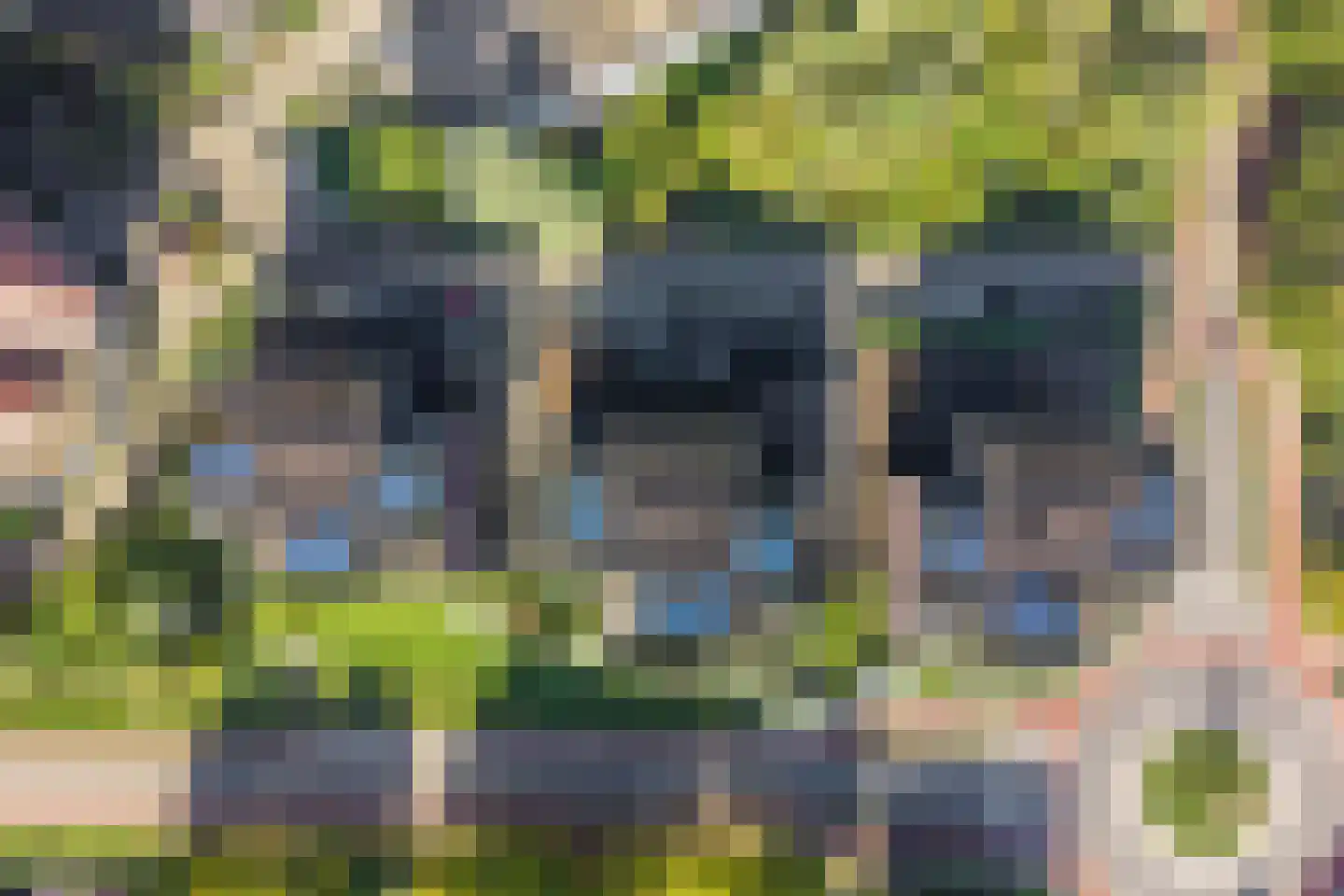 Kroonpark 284 Arnhem thumbnail 28