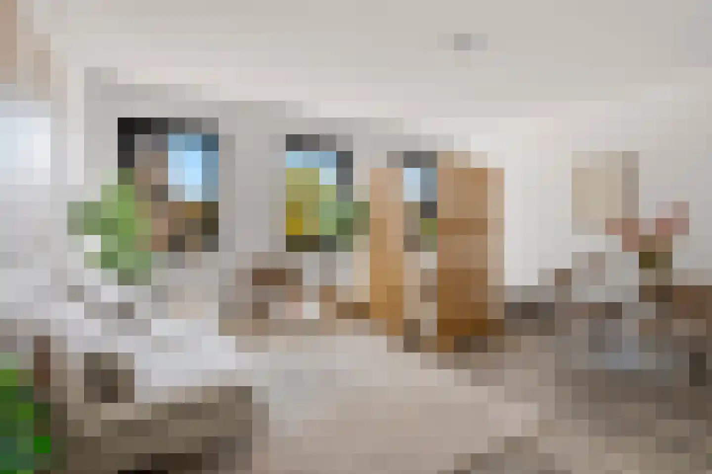 Kroonpark 406 Arnhem thumbnail 4