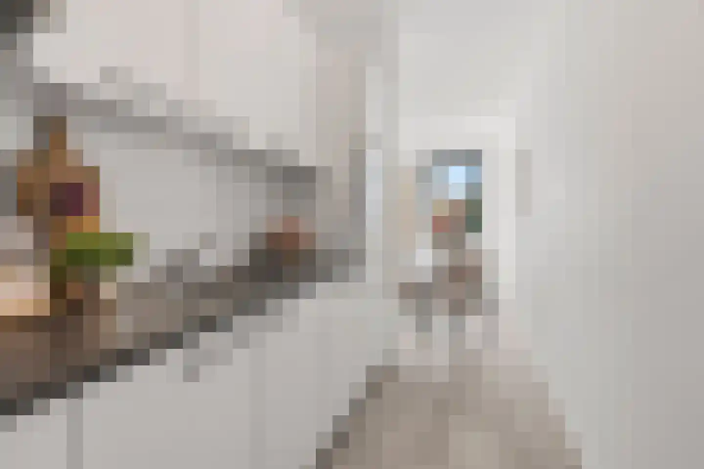 Kroonpark 406 Arnhem thumbnail 8