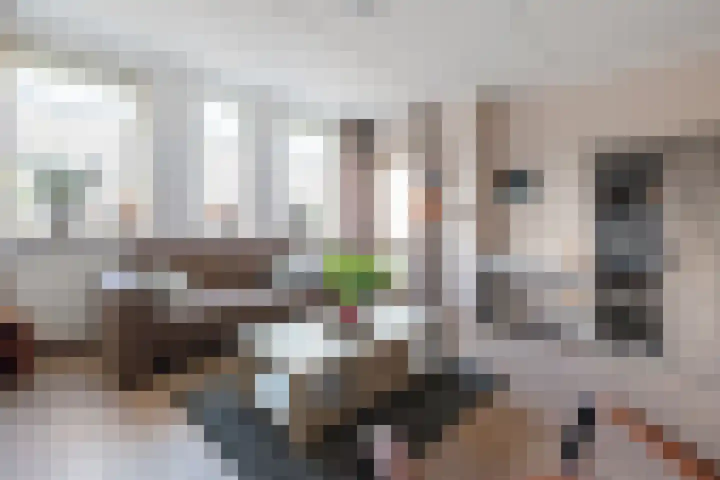 Kroonplein 36 Lemelerveld thumbnail 4