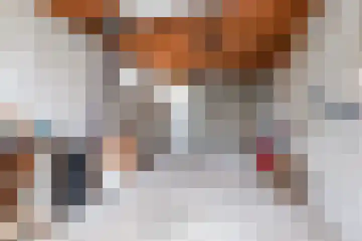 Kroonprins 10 Haaksbergen thumbnail 40