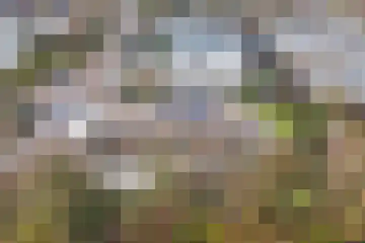 Kroonprins 10 Haaksbergen thumbnail 41