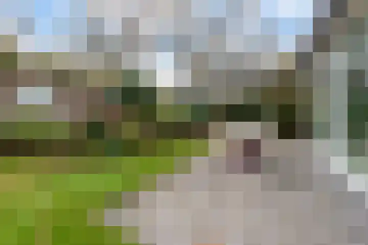 Kroonprins 10 Haaksbergen thumbnail 44