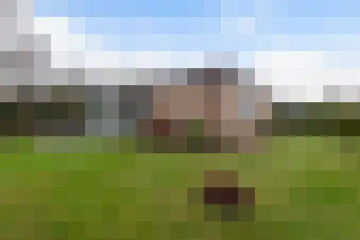 Kroonprins 10 Haaksbergen thumbnail 46