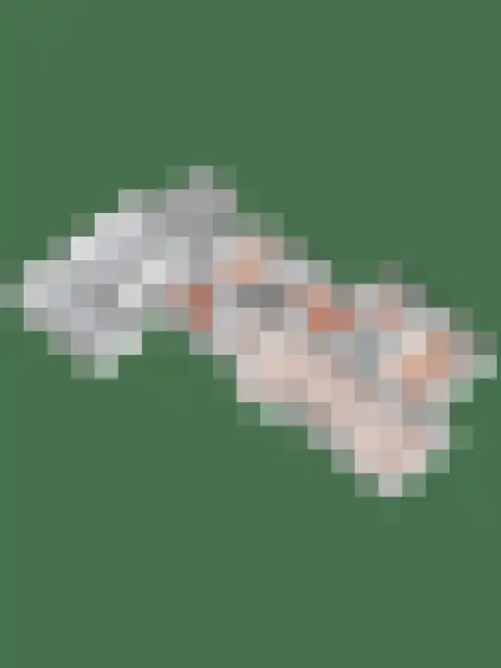 Kroonprins 10 Haaksbergen thumbnail 53