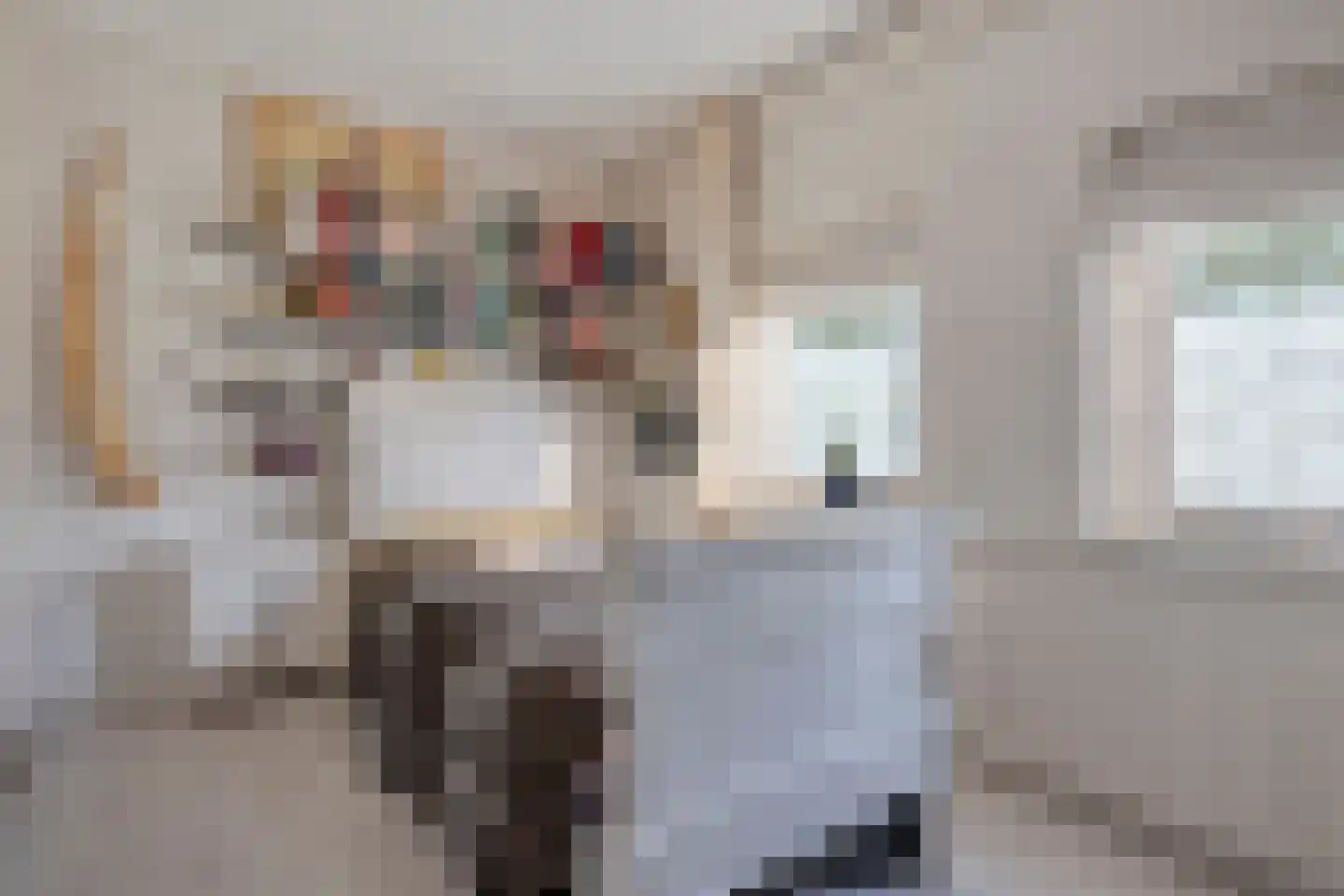 Kroonprins 16 Haaksbergen thumbnail 11