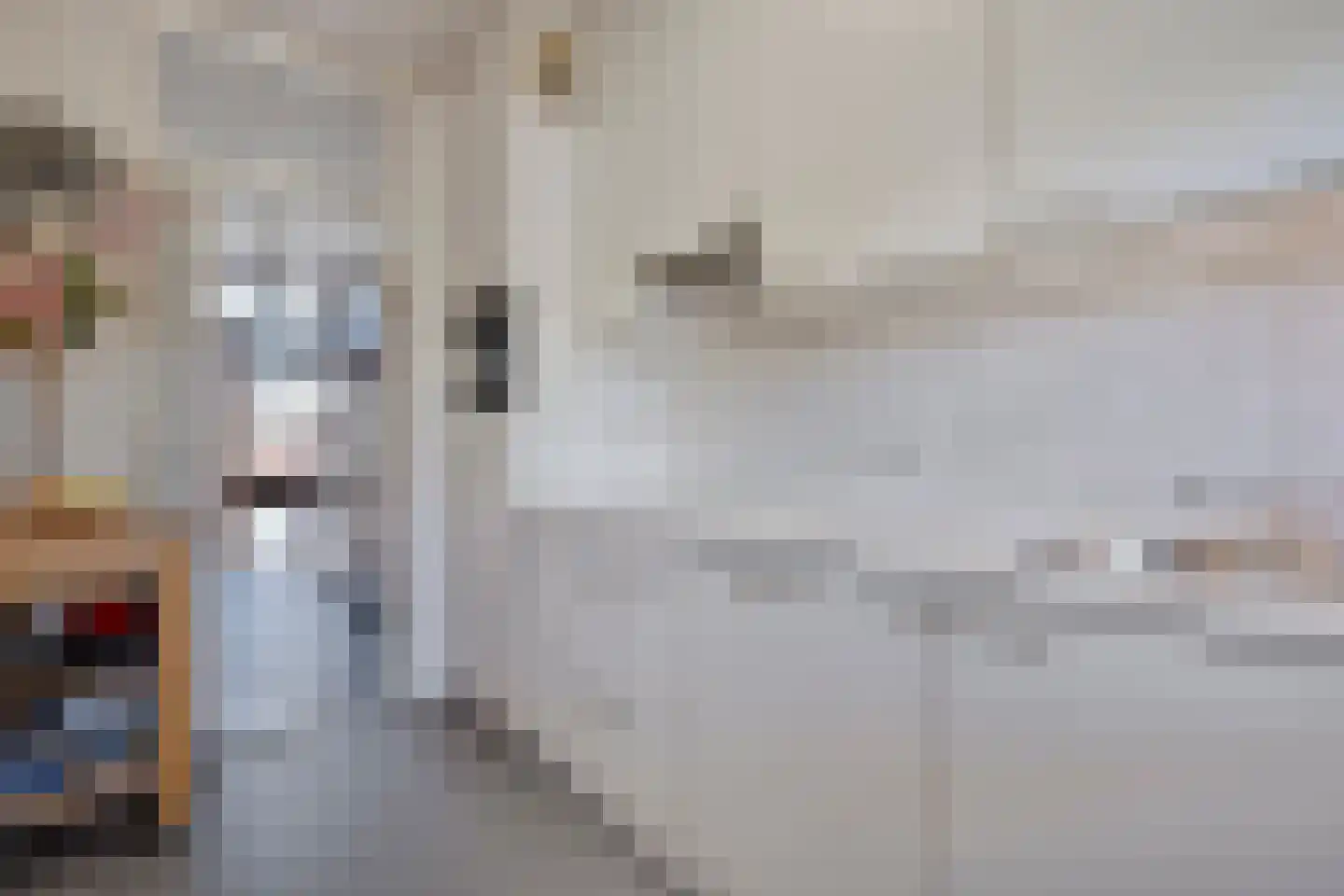 Kroonprins 16 Haaksbergen thumbnail 7