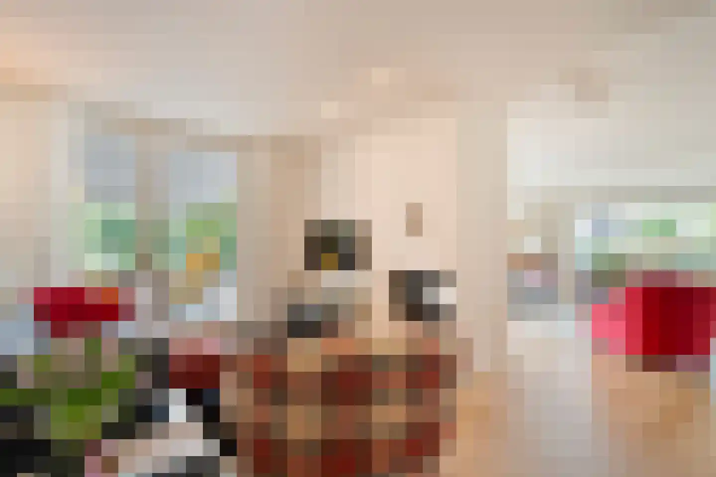 Kroonprins 23 Haaksbergen thumbnail 17