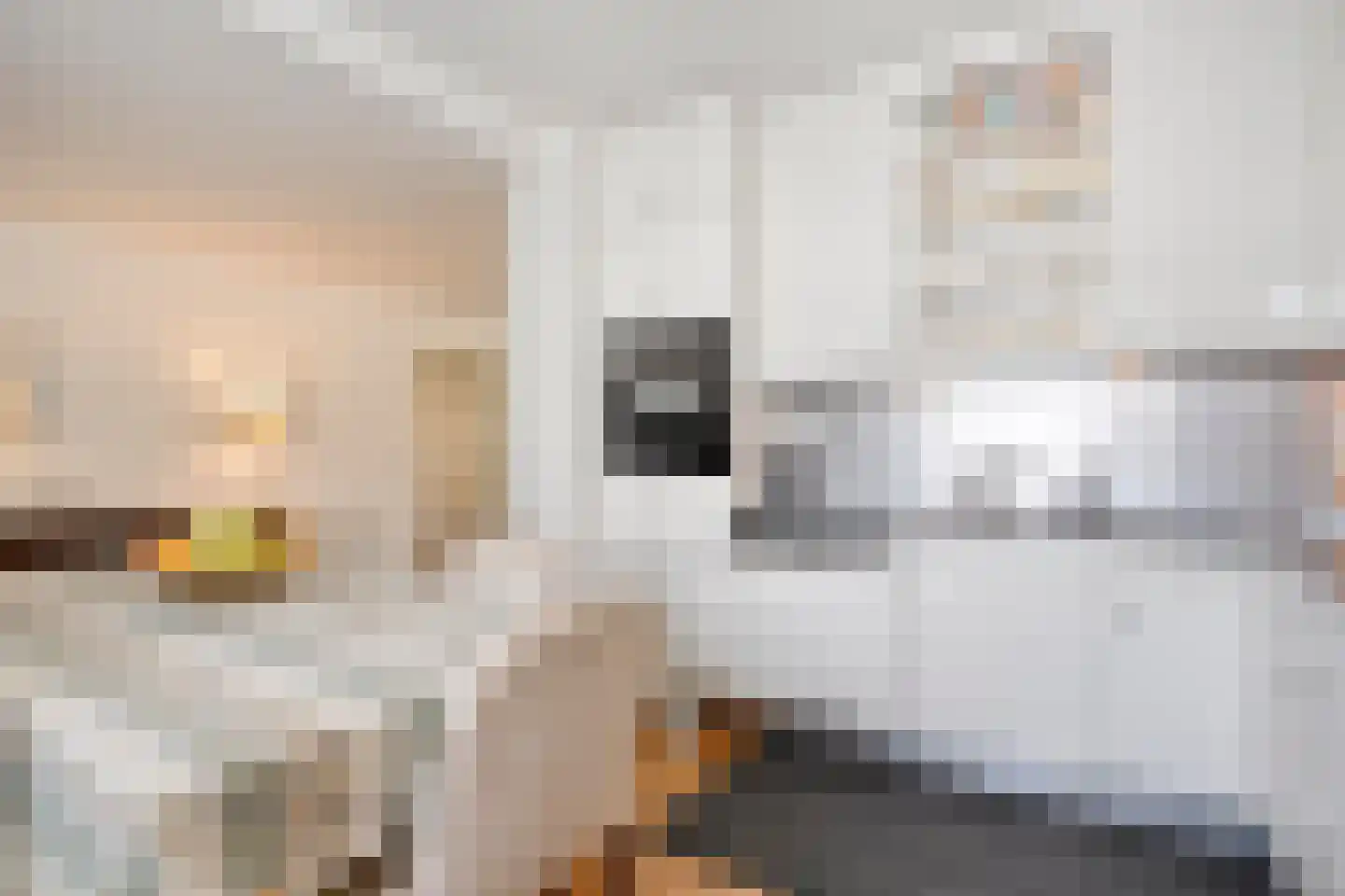 Kroonprins 23 Haaksbergen thumbnail 22