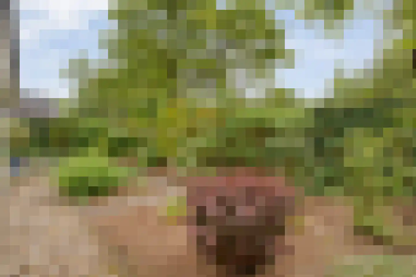 Kroonprins 23 Haaksbergen thumbnail 43