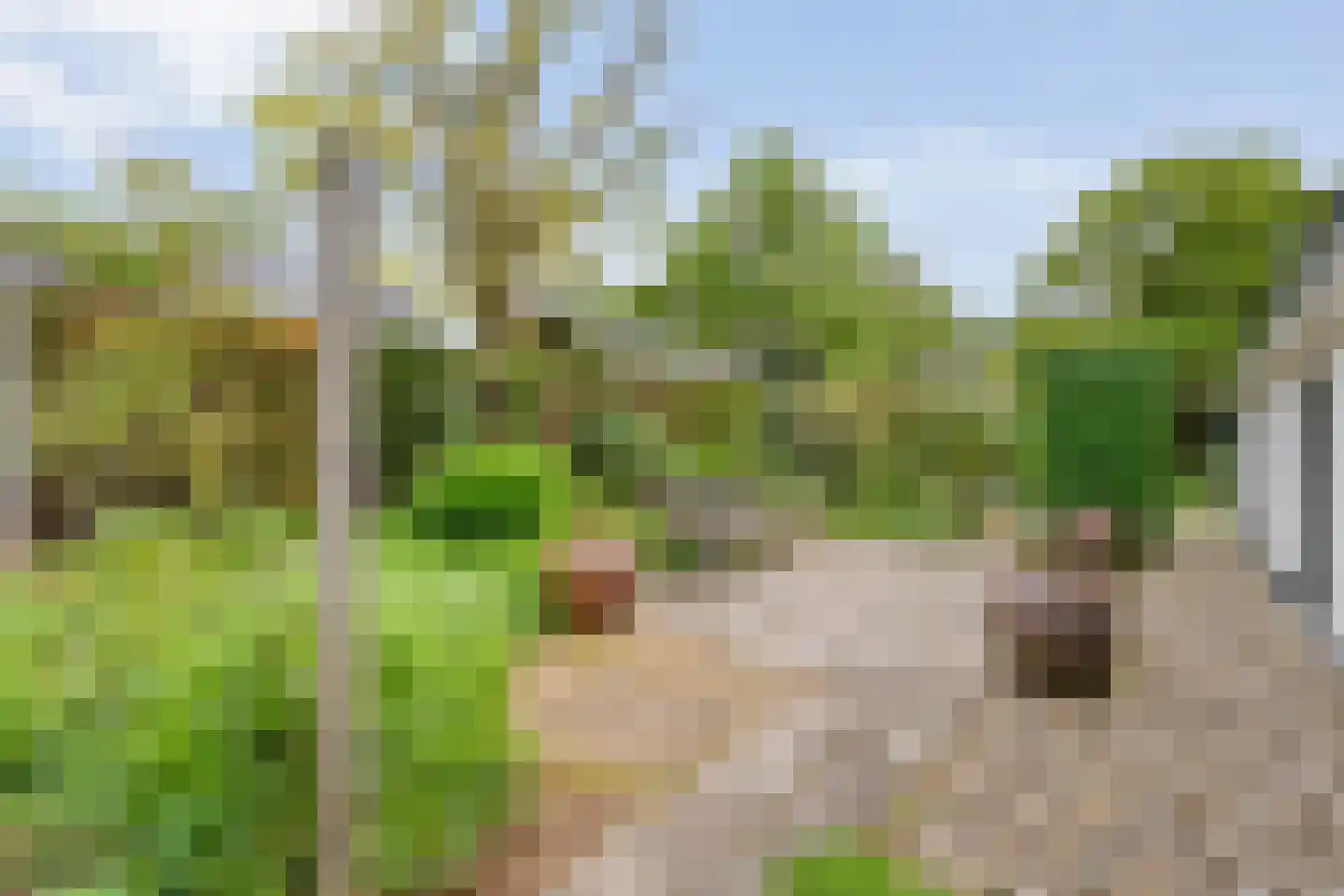 Kroonprins 23 Haaksbergen thumbnail 46