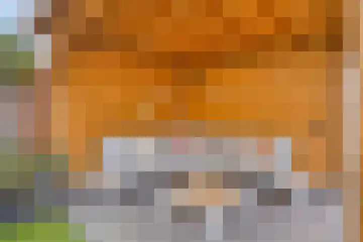 Kroonsappel 8 Andel thumbnail 34