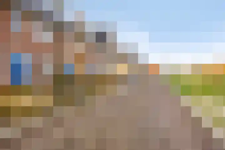 Kroonsappel 8 Andel thumbnail 36