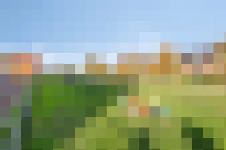 Kroonsappel 8 Andel thumbnail 37