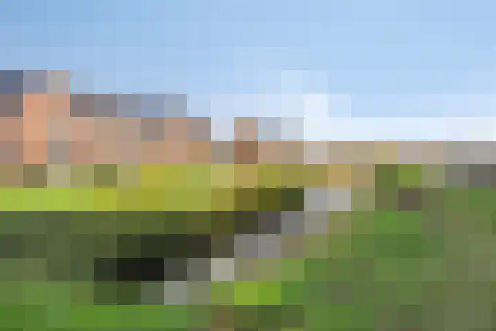 Kroonsappel 8 Andel thumbnail 39