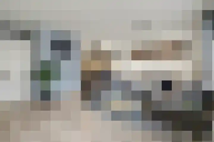 Kroonse Wal 39 Arnhem thumbnail 12