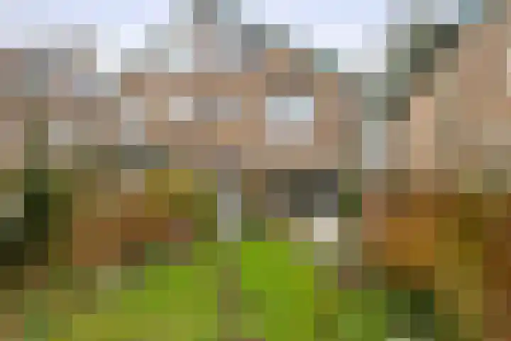Kroonse Wal 39 Arnhem thumbnail 13