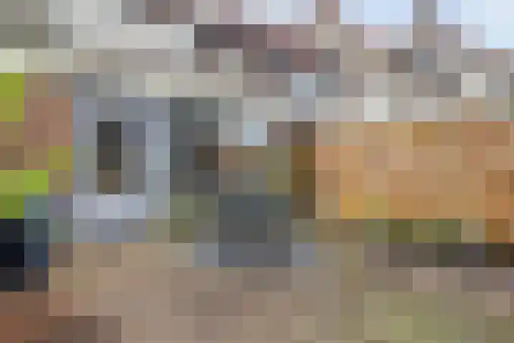 Kroonse Wal 39 Arnhem thumbnail 21