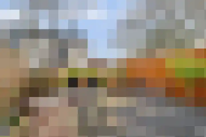 Kroonse Wal 39 Arnhem thumbnail 23
