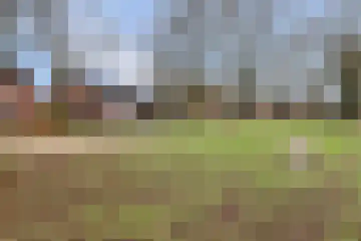 Kroonse Wal 39 Arnhem thumbnail 25
