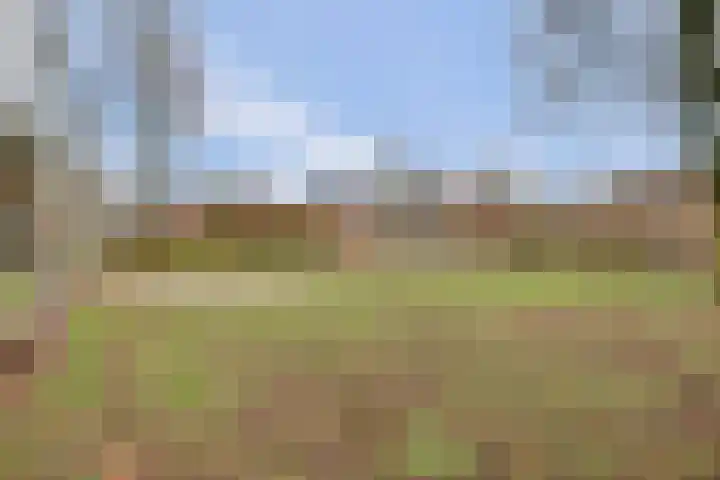 Kroonse Wal 39 Arnhem thumbnail 26