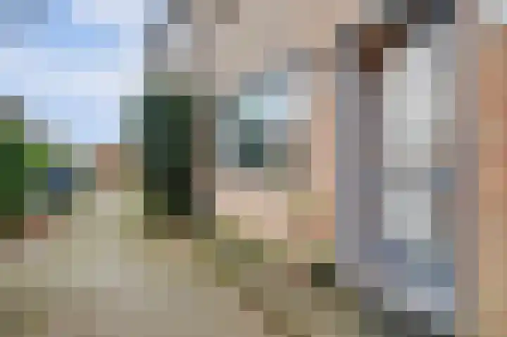 Kroonse Wal 39 Arnhem thumbnail 28