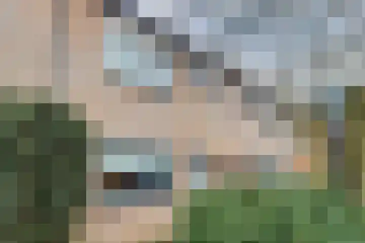 Kroonse Wal 39 Arnhem thumbnail 30