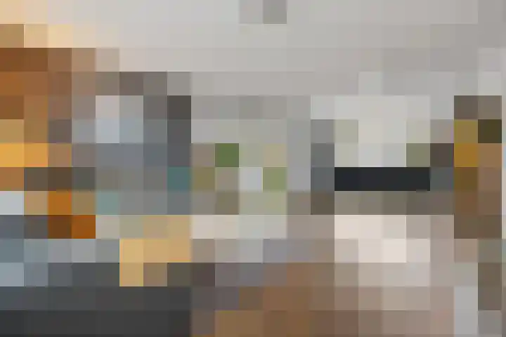 Kroonse Wal 53 Arnhem thumbnail 12