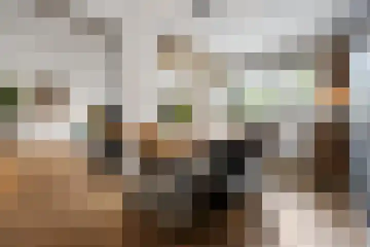 Kroonse Wal 53 Arnhem thumbnail 14