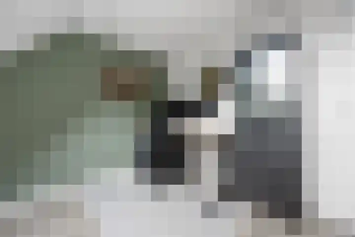Kroonse Wal 53 Arnhem thumbnail 18
