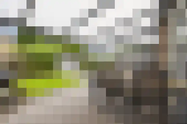 Kroonse Wal 53 Arnhem thumbnail 27