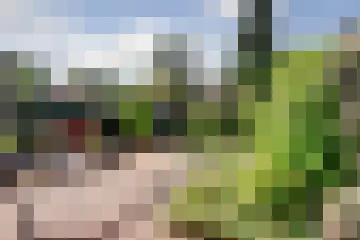 Kroonse Wal 63 Arnhem thumbnail 29