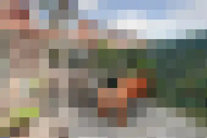Kroonse Wal 63 Arnhem thumbnail 30